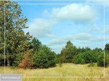 Działka budowlana Krobia, ul. Dolina Drwęcy. Zdjęcie 2