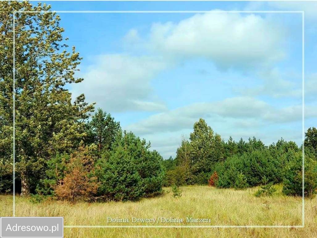 Działka budowlana Krobia, ul. Dolina Drwęcy. Zdjęcie 3