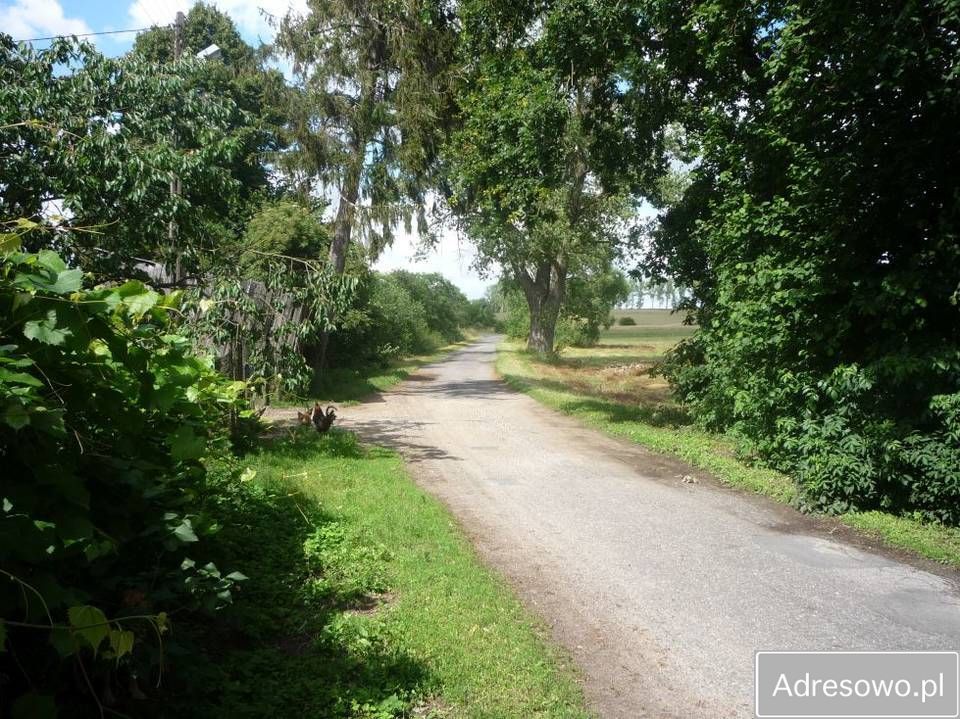 dom wolnostojący, 8 pokoi Sielsko. Zdjęcie 7