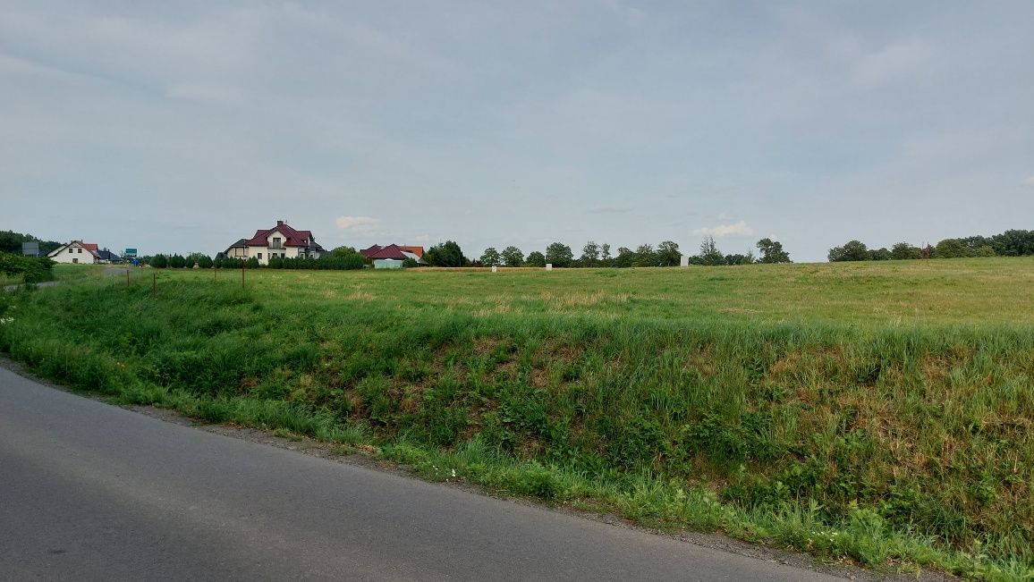 Działka budowlana Rokitnica. Zdjęcie 1