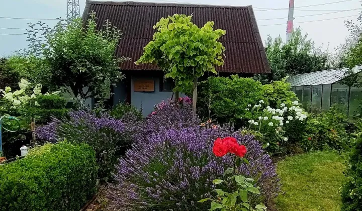 Działka rod Koszalin, ul. Mieszka I
