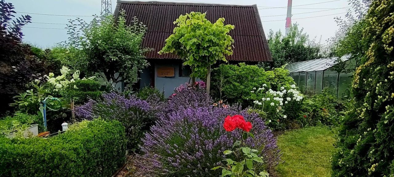 Działka rod Koszalin, ul. Mieszka I. Zdjęcie 1