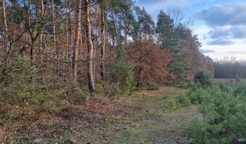 Działka leśna Omięciny