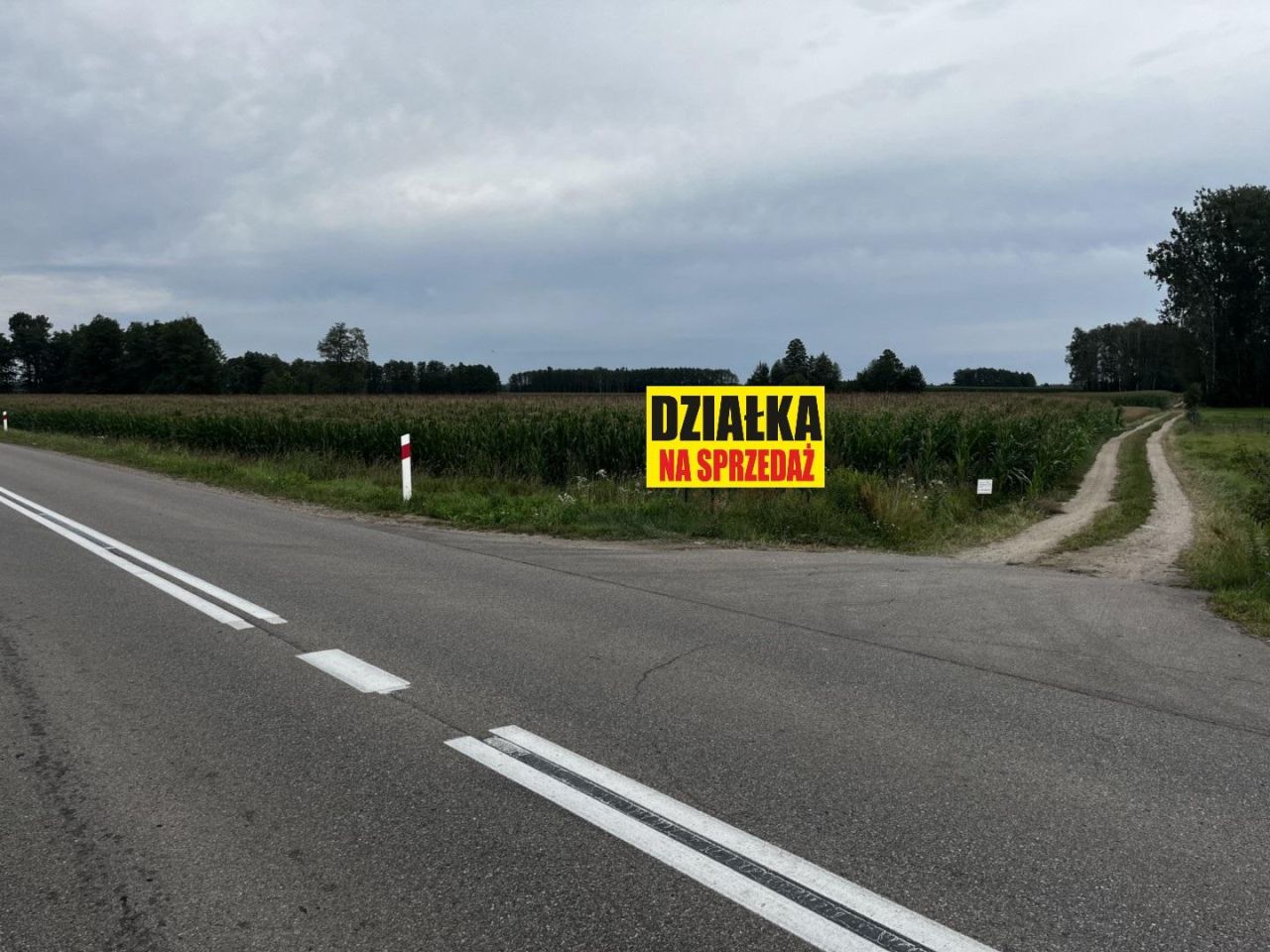 Działka rolno-budowlana Biele. Zdjęcie 2