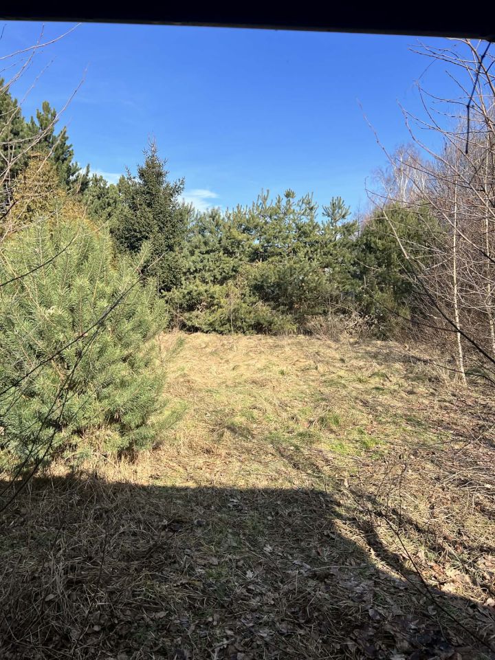 Działka rekreacyjna Dąb Polski, ul. Bratkowa. Zdjęcie 10