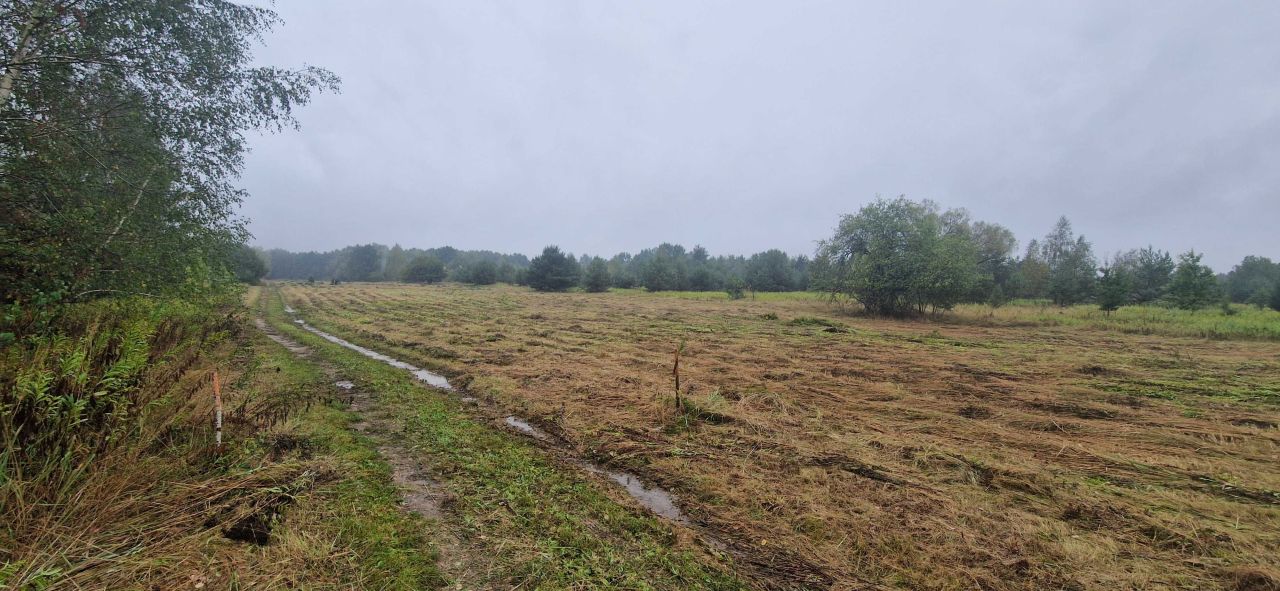 Działka rolna Secymin Polski. Zdjęcie 4
