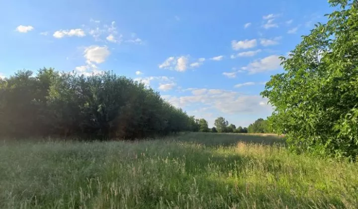 Działka budowlana Łódź Widzew, ul. Łukaszewska