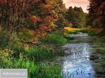 Działka budowlana Śladów. Zdjęcie 4