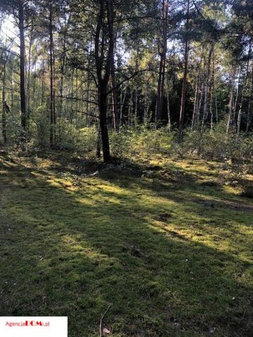 Działka budowlana Marynin. Zdjęcie 15