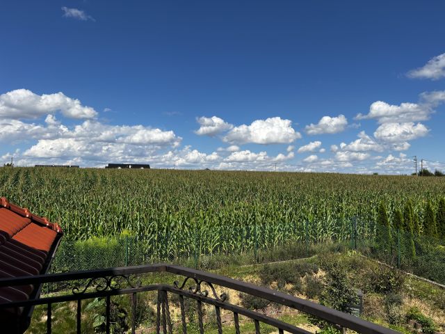 dom wolnostojący, 6 pokoi Kozierów. Zdjęcie 14