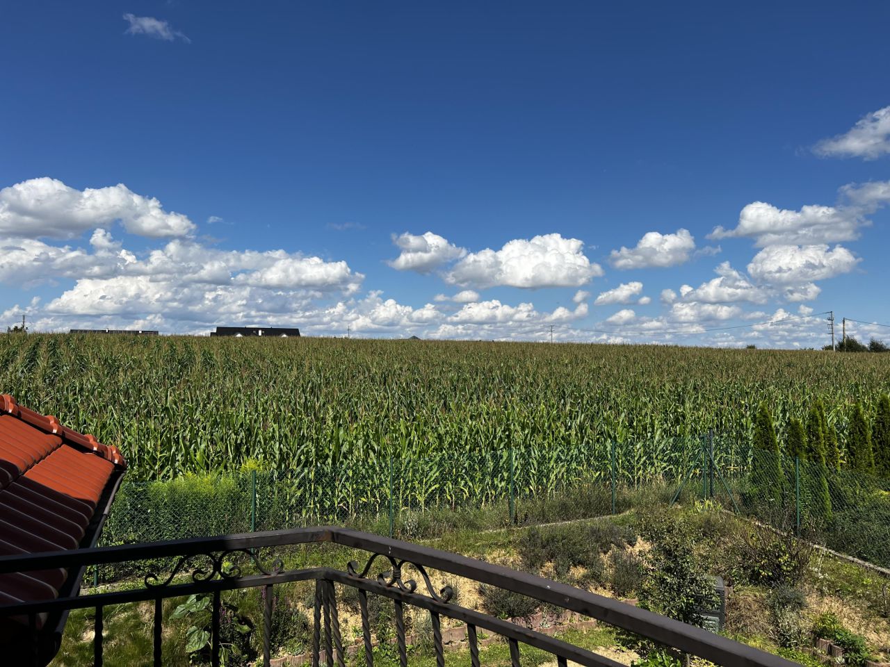 dom wolnostojący, 6 pokoi Kozierów. Zdjęcie 14