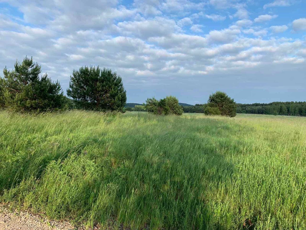 Działka budowlana Bolmin. Zdjęcie 2