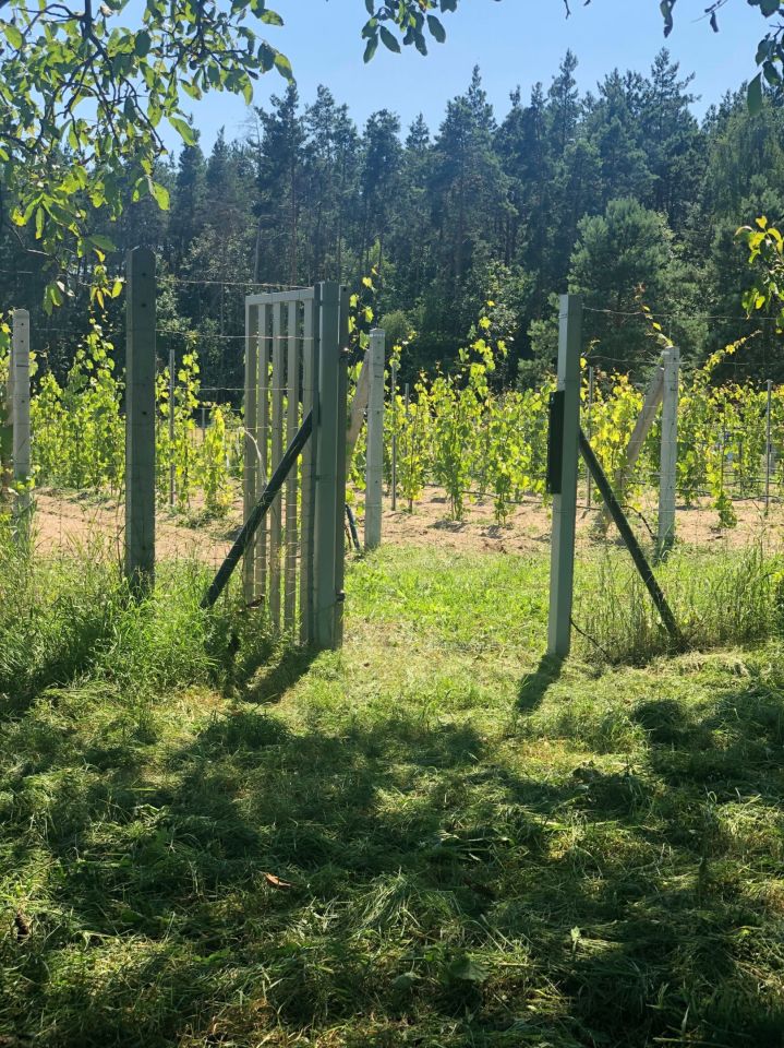 Działka budowlana Huta Jeżewska. Zdjęcie 2