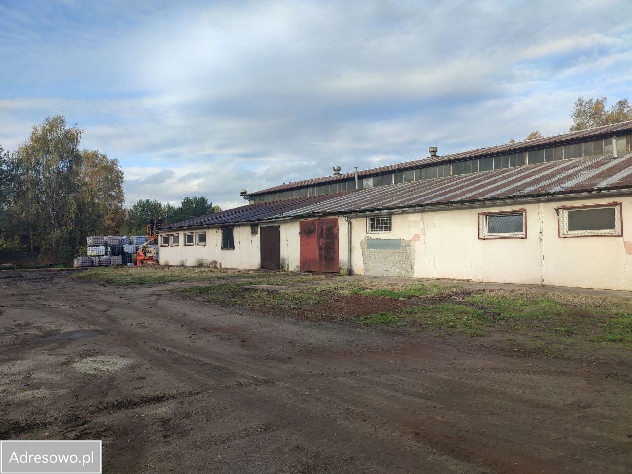 Hala/magazyn Polkowice. Zdjęcie 6