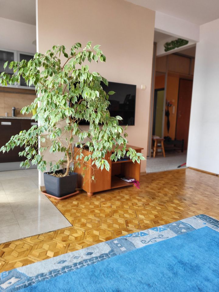 Mieszkanie 3-pokojowe Bielsko-Biała Osiedle Karpackie, ul. Morskie Oko. Zdjęcie 12