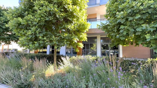 Lokal Wrocław Swojczyce, ul. Marca Polo. Zdjęcie 22