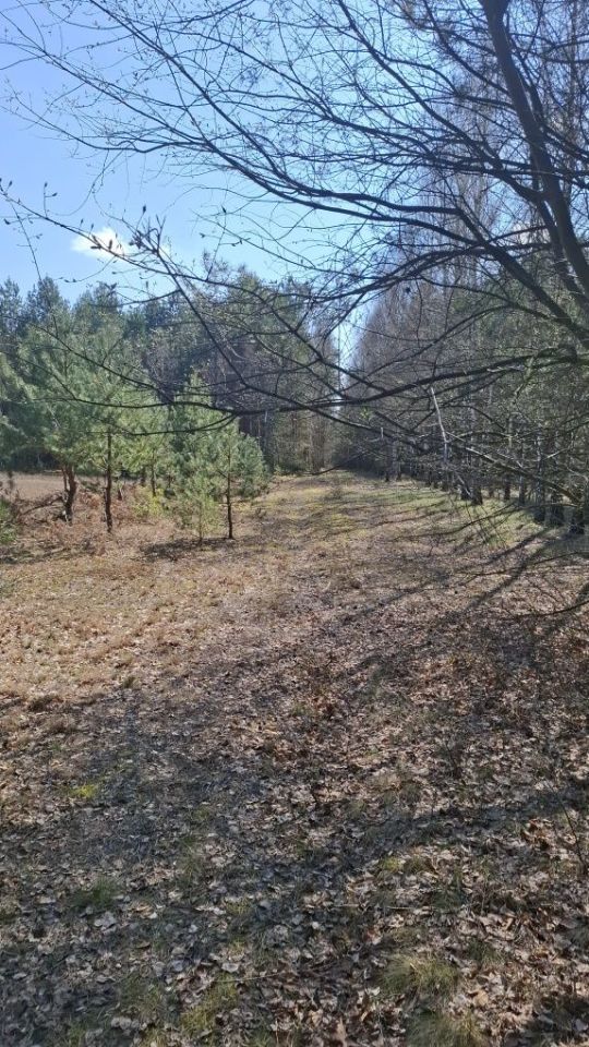 Działka budowlana Duninów Duży