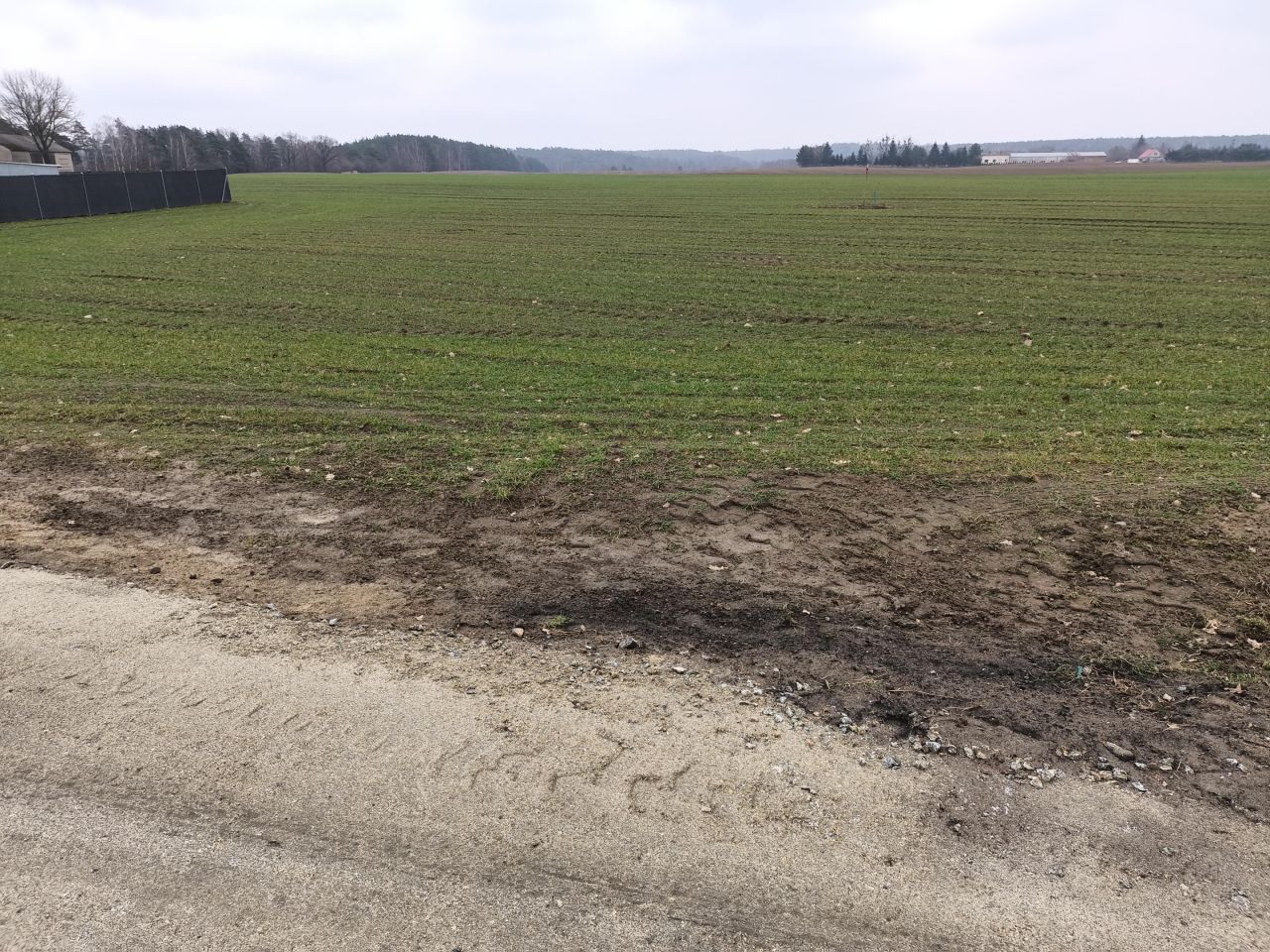 Działka budowlana Głębocko. Zdjęcie 4