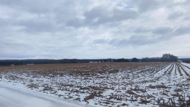 Działka budowlana Nowa Wieś, ul. Cicha. Zdjęcie 1