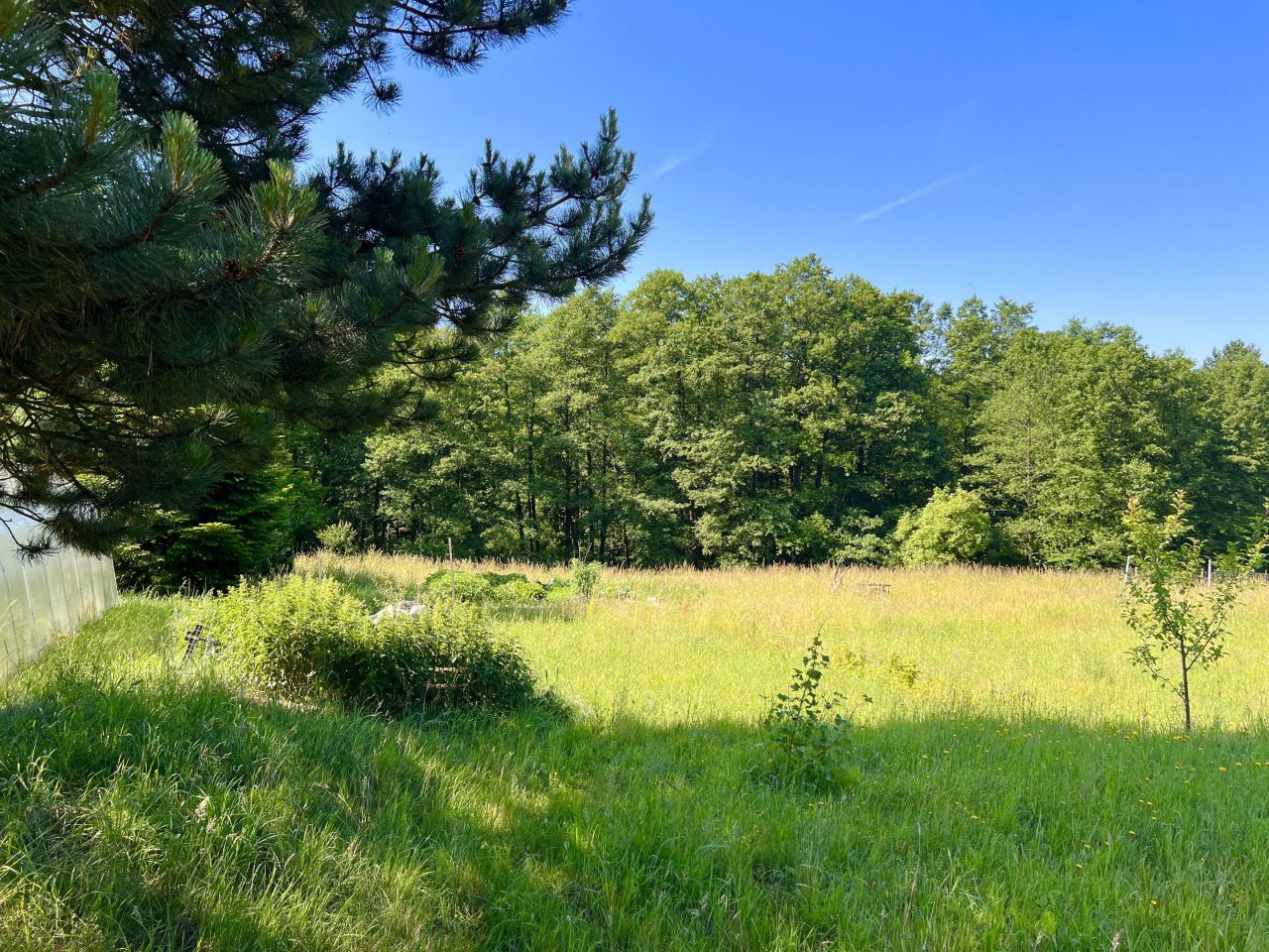 Działka rolno-budowlana Pszów, ul. Pszowska. Zdjęcie 11