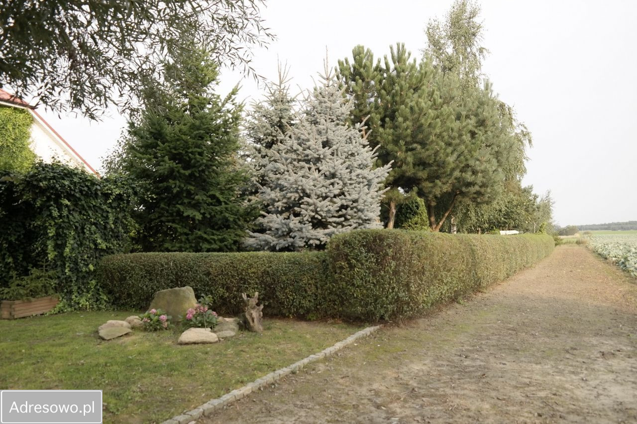 dom wolnostojący, 3 pokoje Gałązki Wielkie. Zdjęcie 6