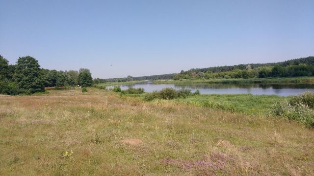 Działka rekreacyjna Zambski Kościelne. Zdjęcie 1