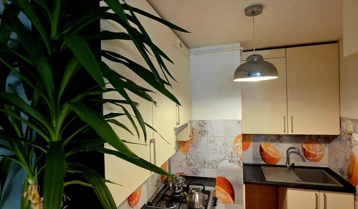 Mieszkanie 2-pokojowe Puławy