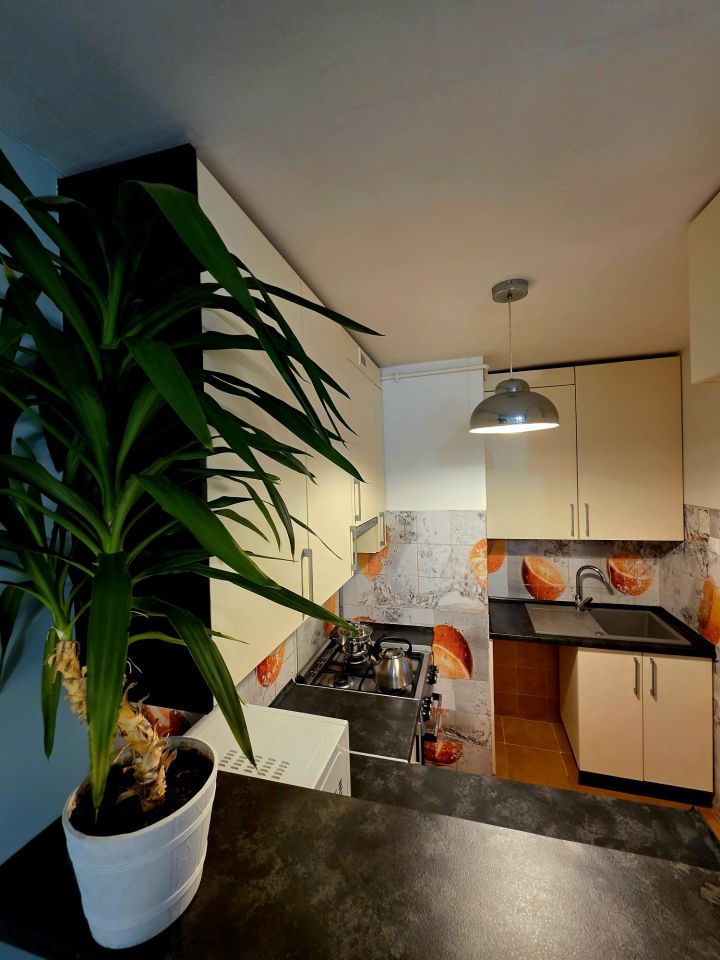 Mieszkanie 2-pokojowe Puławy