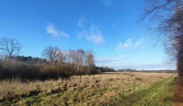 Działka rolna Dalno