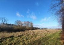 Działka rolna Dalno. Zdjęcie 1