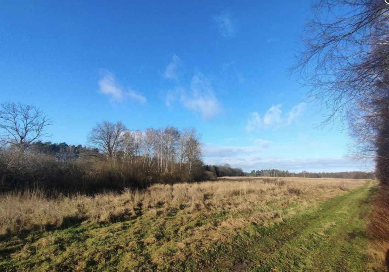 Działka rolna Dalno. Zdjęcie 2