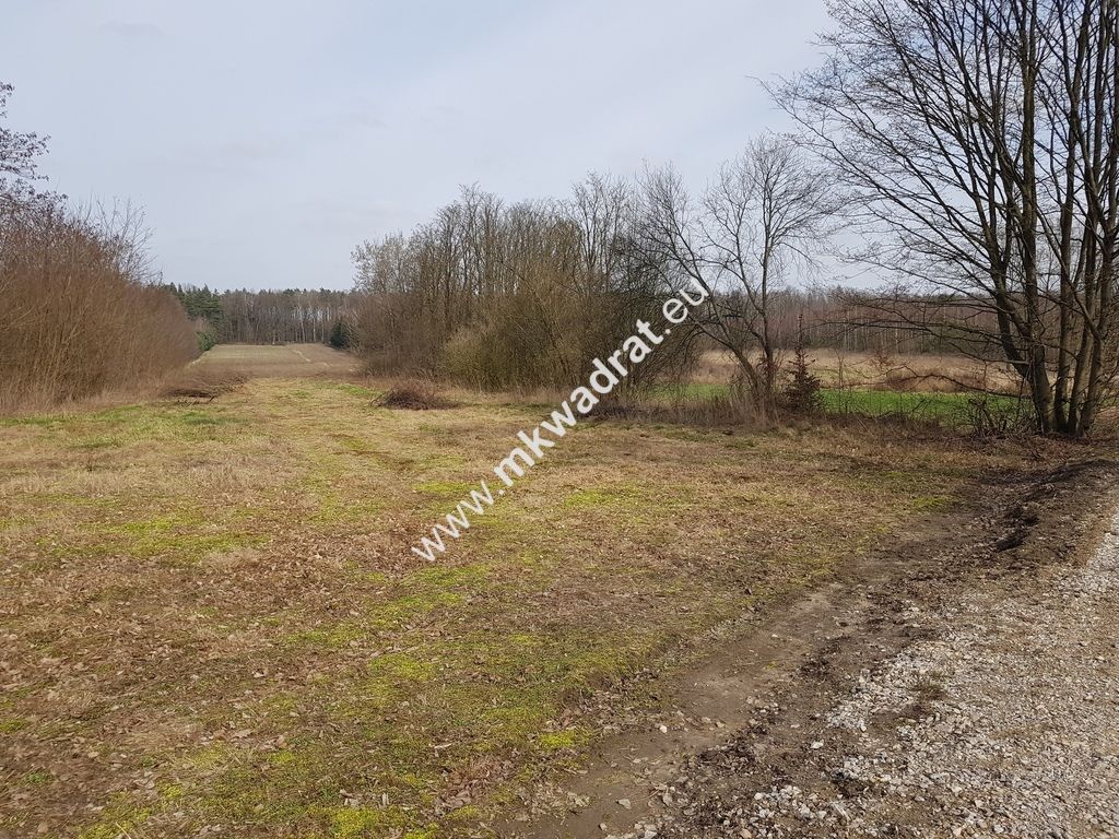 Działka rolna Borszyce. Zdjęcie 5