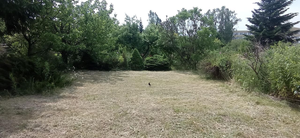 Działka rod Łódź Widzew, ul. Lodowa. Zdjęcie 30