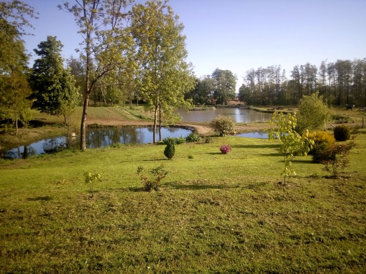 Działka rolno-budowlana Dzierżoniów. Zdjęcie 5