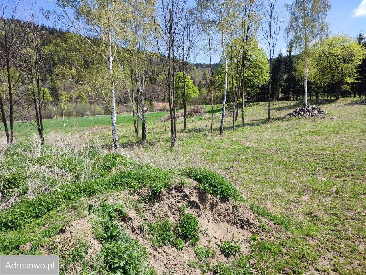 Działka inwestycyjna Stara Morawa. Zdjęcie 6