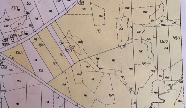 Działka leśna Kumkiejmy