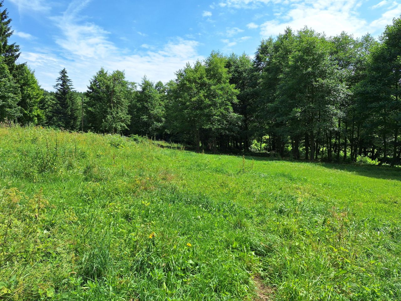 Działka rolno-budowlana Potoczek. Zdjęcie 7