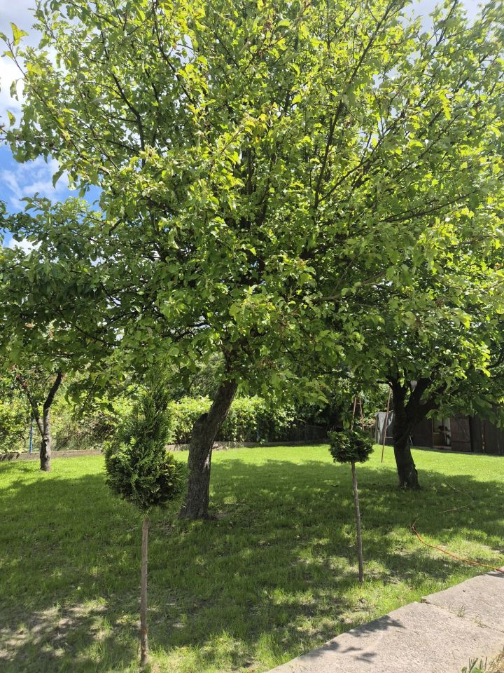 Działka rod Płock, ul. Kobiałka. Zdjęcie 2