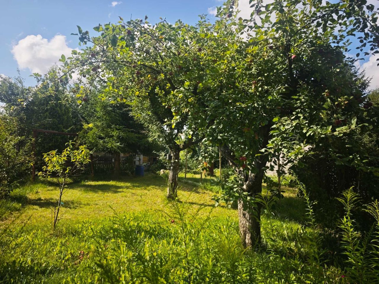 Działka rod Tczew, ul. Ceglarska. Zdjęcie 3