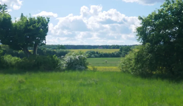Działka rolno-budowlana Żuława, ul. Kwiatowa