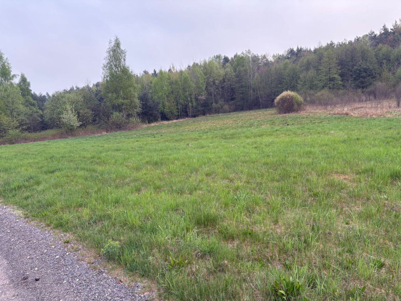 Działka Kamień, ul. Jagodowa