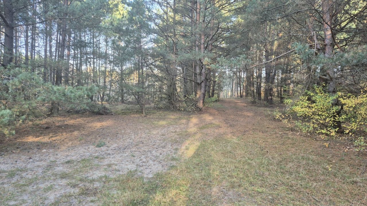 Działka rolno-budowlana Dubielno