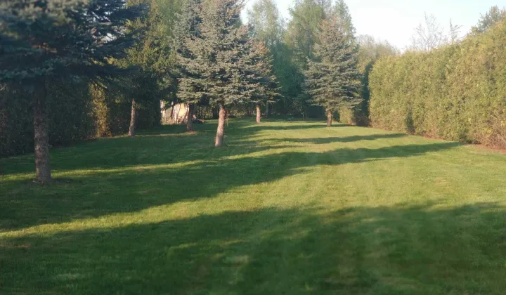 Działka rolno-budowlana Ciechanowiec