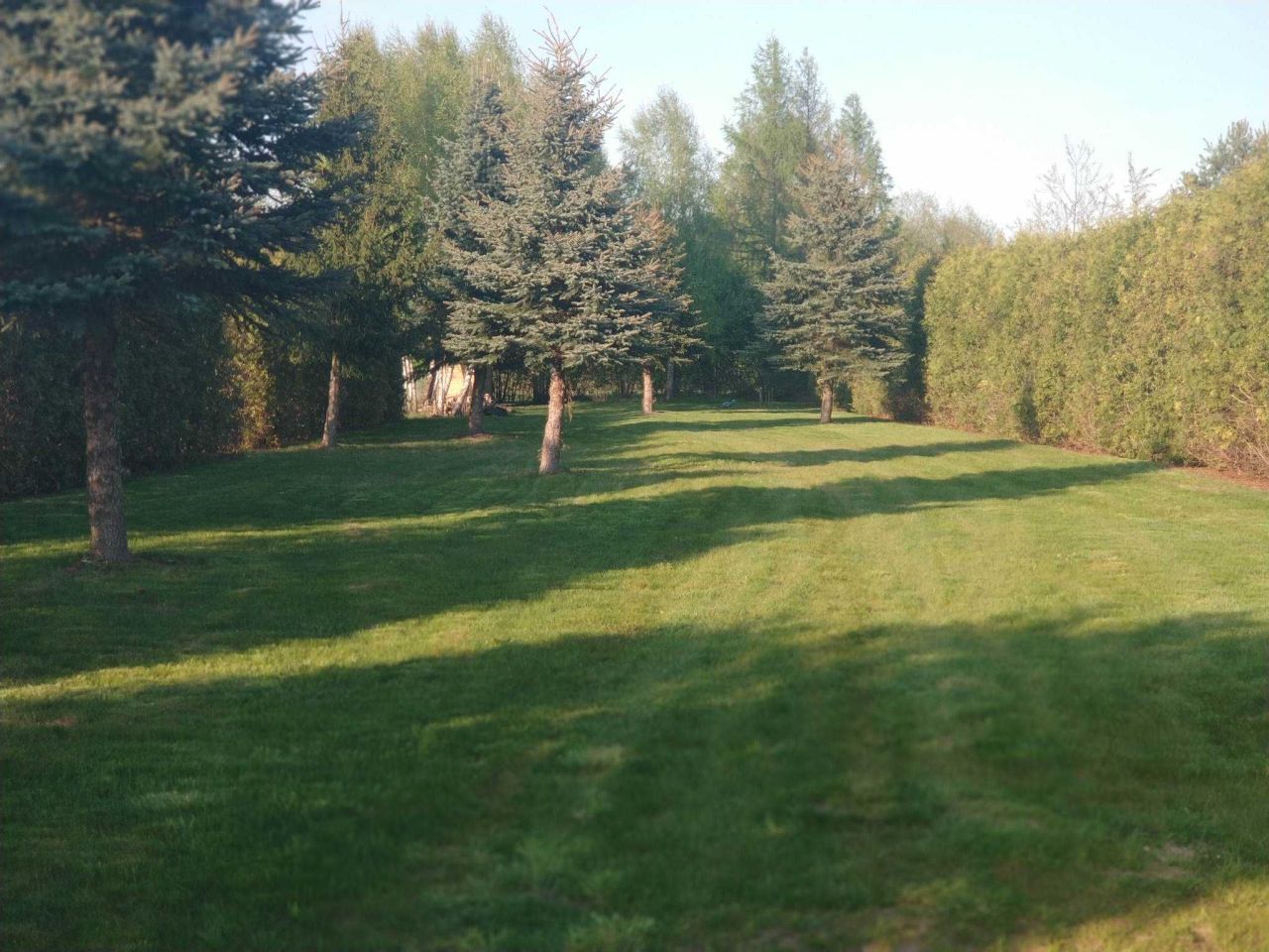 Działka rolno-budowlana Ciechanowiec