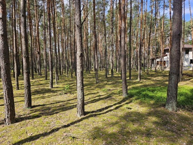Działka budowlana Choszczowe, ul. Bukowa. Zdjęcie 1