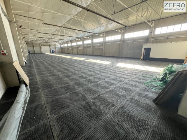 Hala/magazyn Babice. Zdjęcie 3