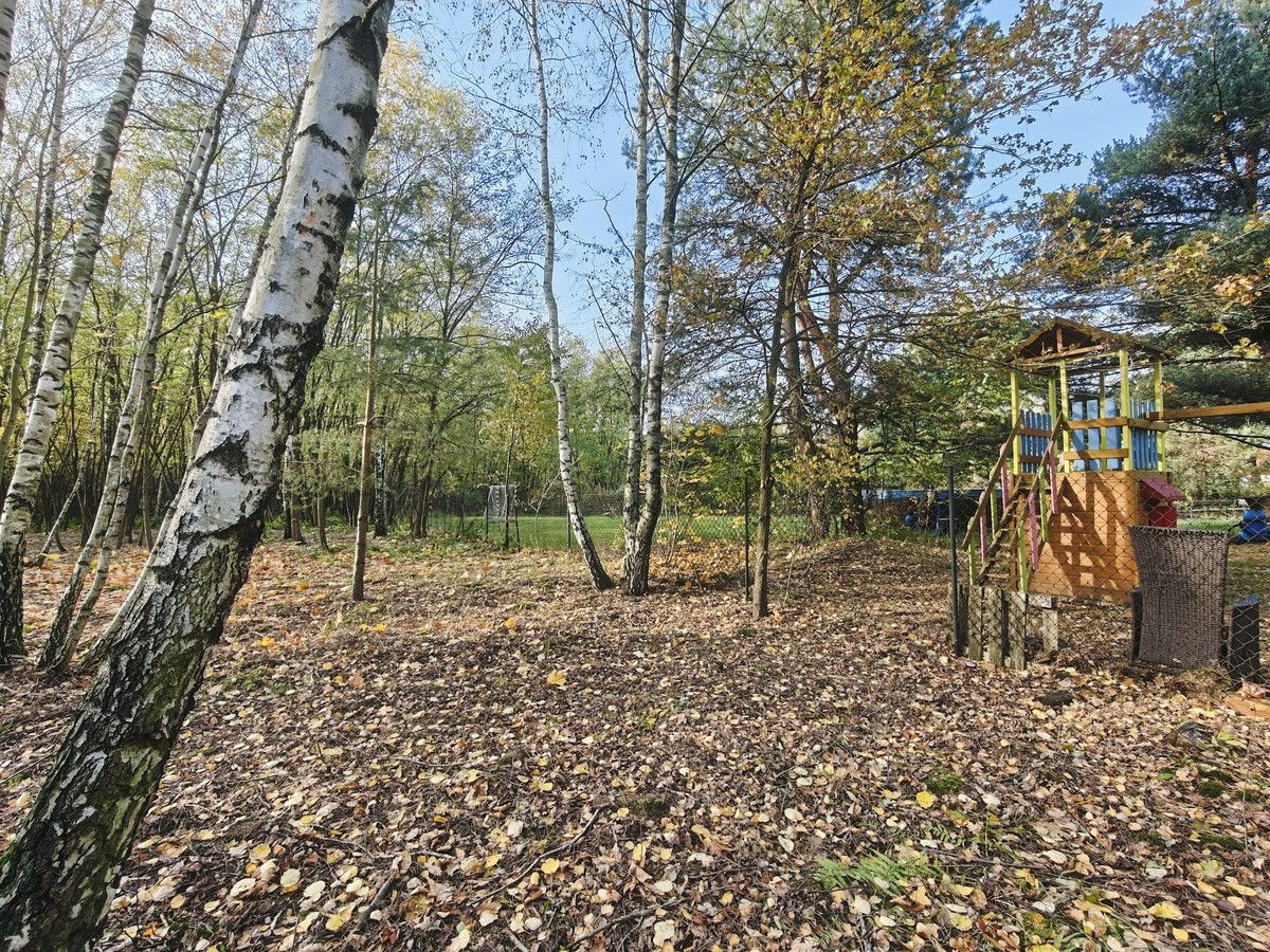 Działka budowlana Stare Skoszewy. Zdjęcie 1