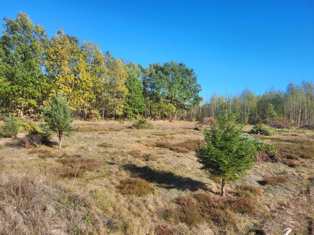 Działka budowlana Sowlany, ul. Karmelowa. Zdjęcie 1