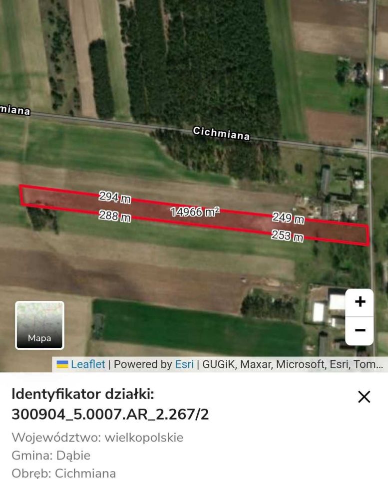 Działka rolna Cichmiana. Zdjęcie 4