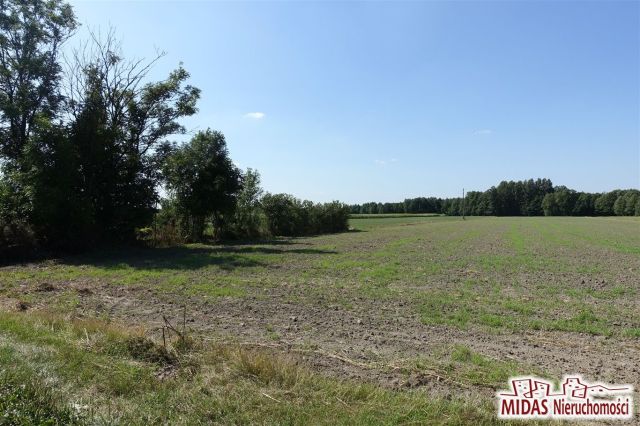 dom wolnostojący, 3 pokoje Czaple. Zdjęcie 28